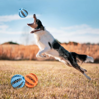 Mama Hazneli Köpek Eğitim Ve Oyun Topu
