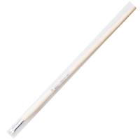 Pebeo Fırça Uzun Bristle Kıl Sert Kıllı Akrilik-Yağlı Boya 258F 0