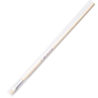 Pebeo Fırça Uzun Bristle Kıl Sert Kıllı Akrilik-Yağlı Boya 258F 06